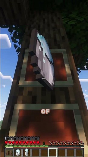 These are legal Minecraft cheats #shorts #minecraft