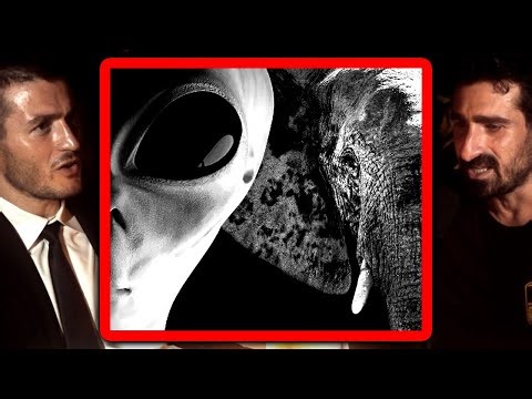 Why elephants are like aliens | Paul Rosolie and Lex Fridman
