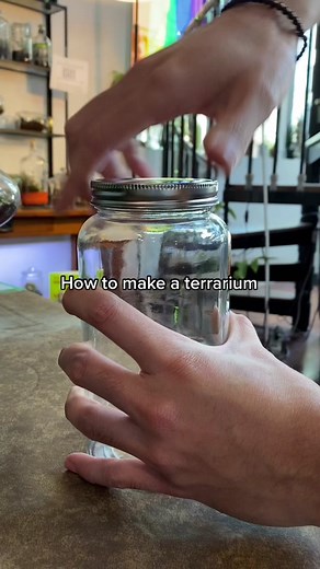 Very beginner friendly 🌱 #terrarium #terrariumdesign #diy #plantlover #iknowsomethingyoudont #mlkday