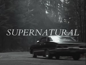 -𝐬𝐩𝐧𝐜𝐨𝐫𝐞-