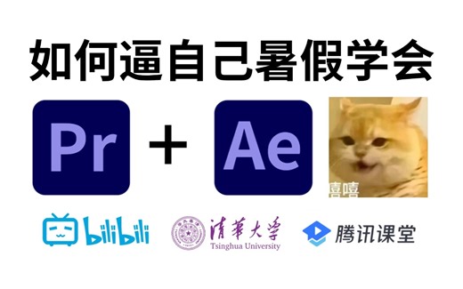 【PR教程+AE教程】暑假不要再去盲目自学了，专为零基础小白量身录制的PR+AE入门全套视频（2024新手入门实用版）