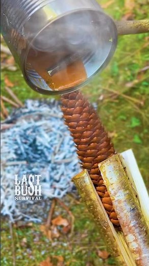 How To Make a Torch With ONLY Natural Materials #survival #bushcraft #outdoors #camping