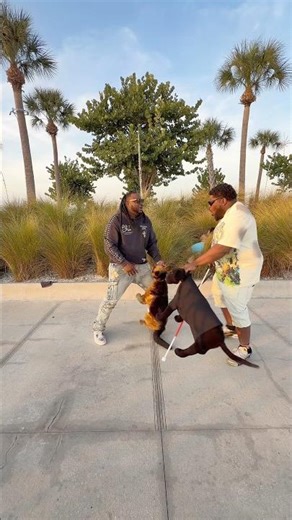 Fake Dog Prank. Champ vs Shadow #shorts