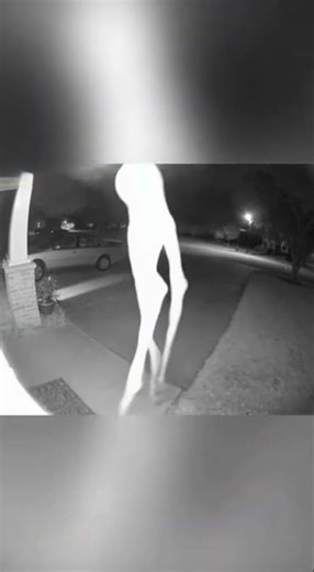 A NIGHT VISITOR FROM ANOTHER WORLD? 👽 The camera caught it!