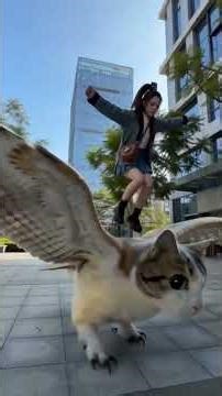 Sư Huynh Đi Diệt Ếch Sữa Trong Thư Viện, Ai Ngờ Bị Đá Bay Luôn 😱