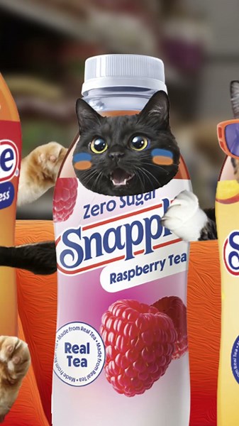 Bodega Cats Episode 6: Watch Party