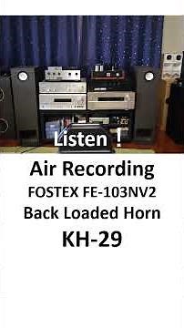 FOSTEX FE 103NV2 KH 29 #diyspeaker