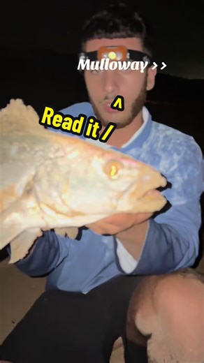 Mulloway Fishing Adventures in Australia