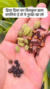 • #KhushaalJeevan • #KareHealthy • #KamyabHealth • #KudratKiShakti • #KayaCare • #KhushtiFitness (desi touch) | Real Herbal power