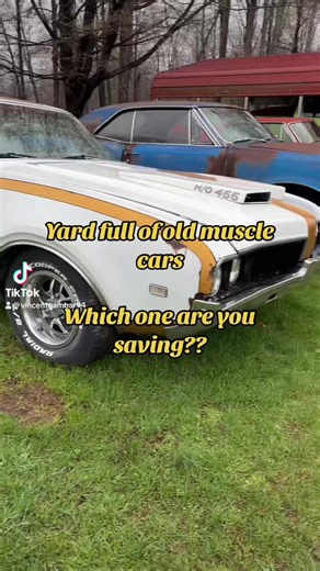 Exploring Muscle Cars: A Unique Barn Find Collection