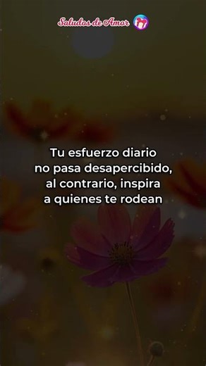 Feliz Día del Trabajo 💼 Este mensaje nace del corazón para agradecer todo tu esfuerzo diario