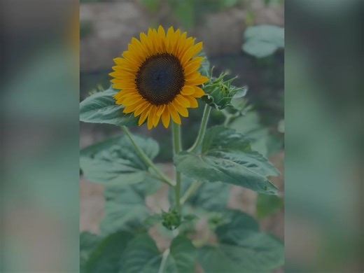 5.6K views · 63 reactions |  Calling All Local Photographers! ✨...