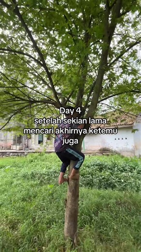 bisa naik tapi gabisa turu😭