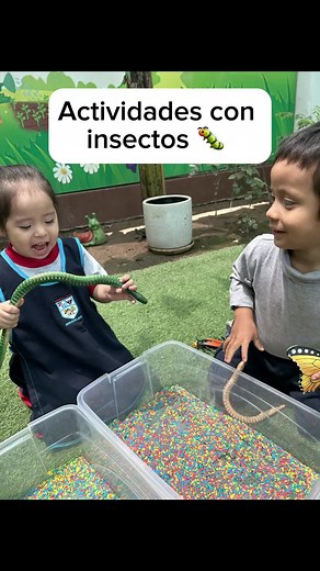 Actividades divertidas sobre insectos para niños pequeños