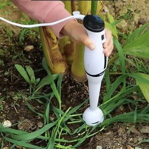 473K views · 935 reactions | Garden maintenance tips with zero hassle | 5-Minute Crafts Men | Facebook