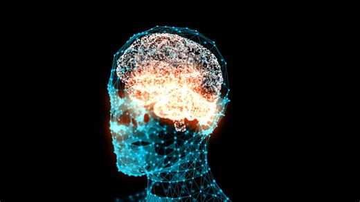Oxford scientists uncover how the brain resolves emotional ambiguity