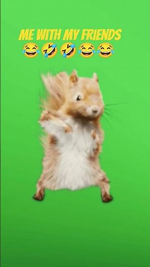 😂🤣🤣😂😂😂🤣🤣😂#subscribe!!!