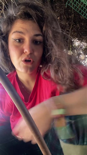 #esponjita #sedosasjaponesas