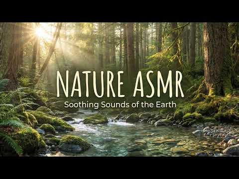 🔴 LIVE: Deep Sleep Nature ASMR #asmr #nature