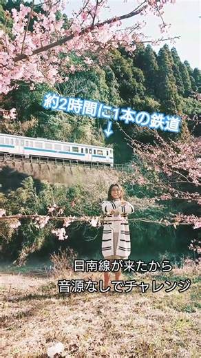 可愛くてごめん！#井上桜 #鉄道 #日南線 #宮崎 #田舎暮らし #桜 #河津桜 #tiktok #fyp #shorts #sakurainoue