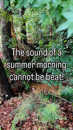 Summer mornings after late night storms are just the best. | Jason Simpson