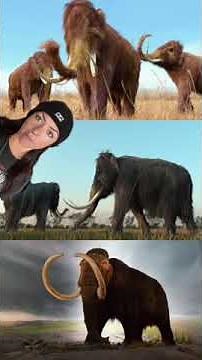 HISTORY OF LIFE: PART 14