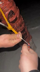 10寸 银波红闪带橙闪蕊｜10" SILVER WAVE TO RED STROBE W/ORANGE STROBE PISTIL | 烟花