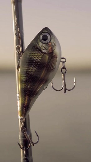 Discover the Stunning Colors of the Rapala Rippin’ Rap
