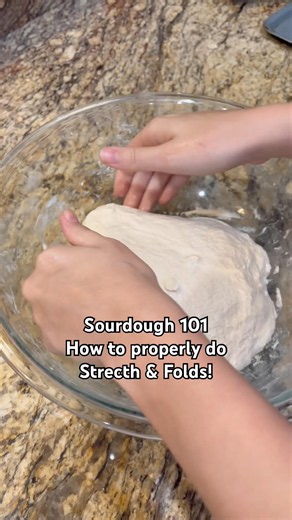 Sourdough 101!! Stretch & Folds✨ How’d you do? #sourdough #sourdoughbread #tutorial