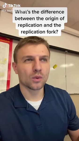 Molecular Evolution and Replication in DNA