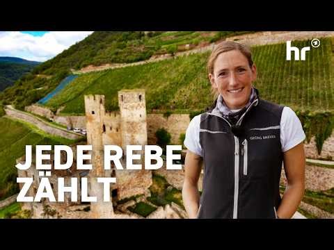 Steillagen, Handarbeit und Fäulnis : Alltag einer Winzerin