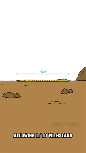 The Most Stupid Looking Snake | Mr.Grimorie