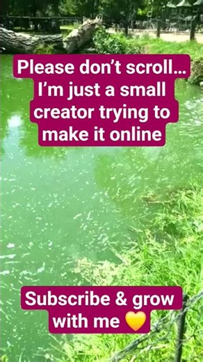 Please Don’t Scroll… This Could Change How You Make Money Online