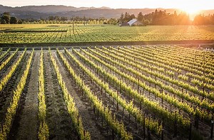 Millwrights Restaurant to hold 5 Course Dinner Pairing with Flora Springs Winery