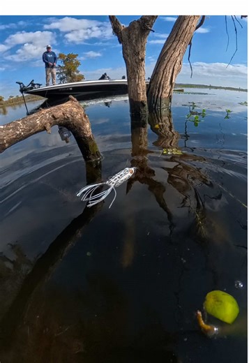 Frog Fishing Adventure at Caddo Lake