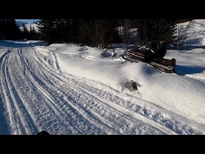Part 2: 1980 Arctic Cat Panther test ride