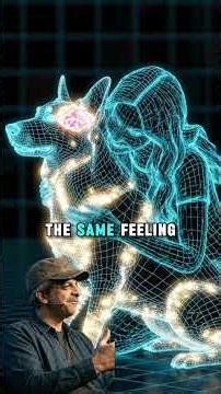 Comment ‘save’ for my guide on what’s needed for every pet first aid kit #dogs #dogcare #lovedogs