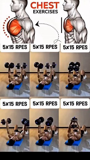 Chest Workout for Men #chestday #chestworkout #dumbbell #fblifestyle | EFitnessHelp