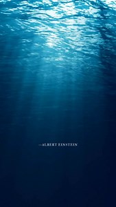 3.8K views · 29 reactions | Warrior Goddess Training is the #1...