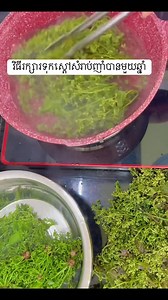 ការរក្សាស្តៅទុកបានច្រើនខែ🥰 Part 2 | អាចារ្យញ៉ុយ អាចារ្យតែថេះ និងអាចារ្យតោ