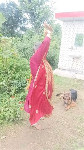 Instagram video by HUMhimachli • Aug 21, 2024 at 12:34 AM