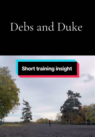 A big welcome to Debs and her lovely horse, Duke! 🐴✨ In today’s session, we focused on improving Duke’s straightness and getting him working evenly from both legs — aiming for true connection and throughness without letting those quarters drift! Only our second session together, and the progress is already shining through. We incorporated lots of turns, counter-flexion, and renvers/counter-travers through the corners to help strengthen engagement and control of the hindquarters, encouraging Duk