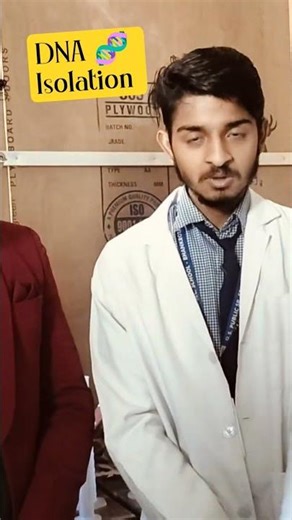 DNA isolation class 12th Biology practical #biology #biologypractical #experiment #dna