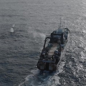 957 reactions · 31 comments | Another whale dead—victim of a krill super trawler. We must stop this destruction before more lives are lost. Please donate now! 85 percent goes directly toward defending Antarctica’s wildlife | Sea Shepherd | Facebook