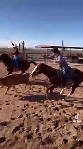 3.5K views · 241 reactions | #CowboyUp | White Stallion Ranch, Tucson, AZ | Facebook