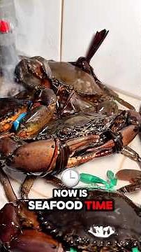 Batam travel guide #seafood #travelvlog #vlog #batam #hotel #shorts #staycation
