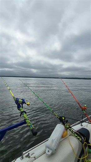 Cat Daddy Guide Service: Texas Catfishing Adventures