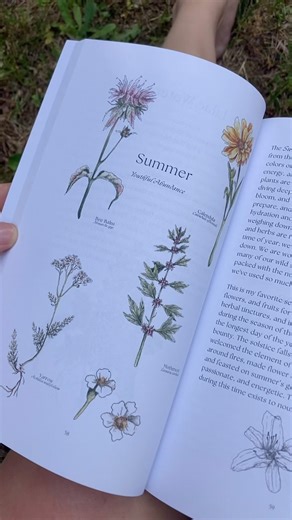 When I first started learning about herbs I found myself opening books with plants that didn’t grow near me at all! I was Interested in fresh plants- which seasons they grew, when they flowered and berried, what parts of the plant was used and why! Of course I could almost always find these herbs dry and that was awesome! BUT I wanted more connection to the plants growing around me, common plants and ‘weeds’ that grew in my backyard and ecosystem. After years of discovering and learning about th