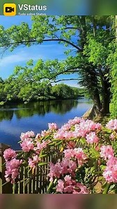 713K views · 27K reactions | Flores & Gifs on Reels | Facebook