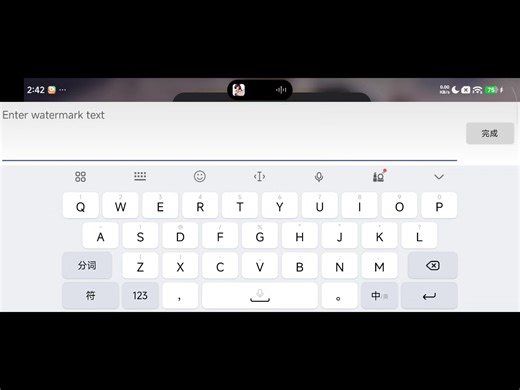 [java UI展示最终章]devlog